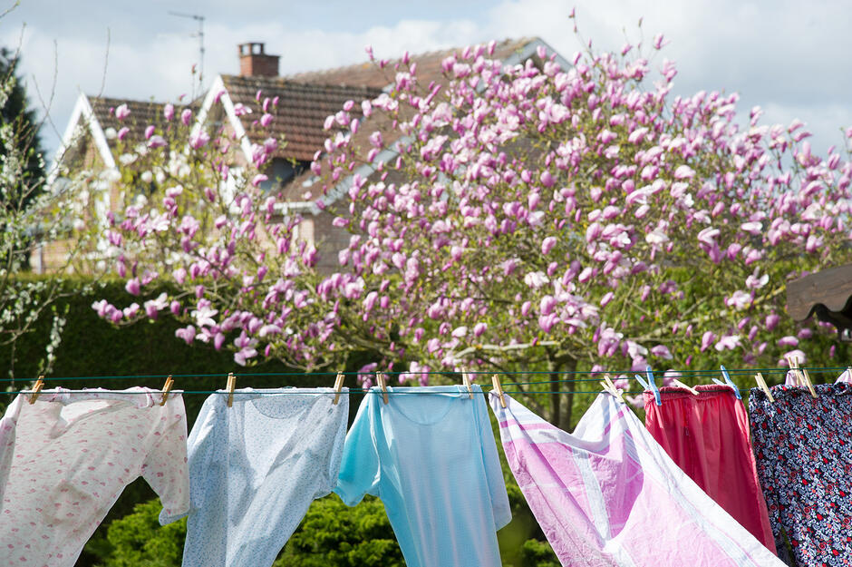 Campagne_photo_38