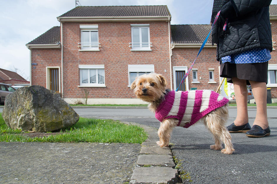 Campagne_photo_40