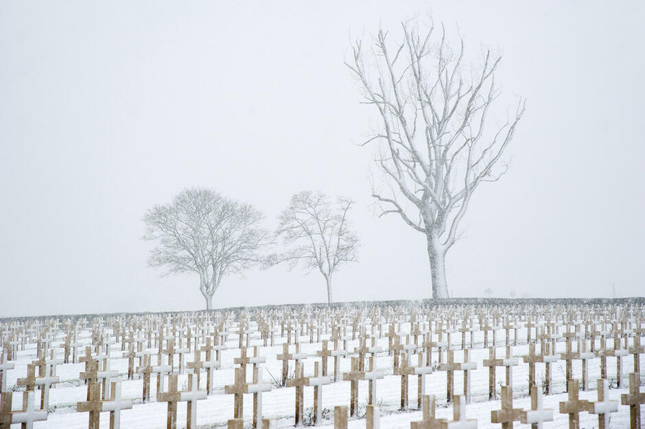 Campagne_photo_35